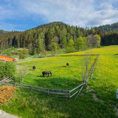 Huberhof 1 By Alpenidyll Apartments Schladming Εξωτερικό φωτογραφία