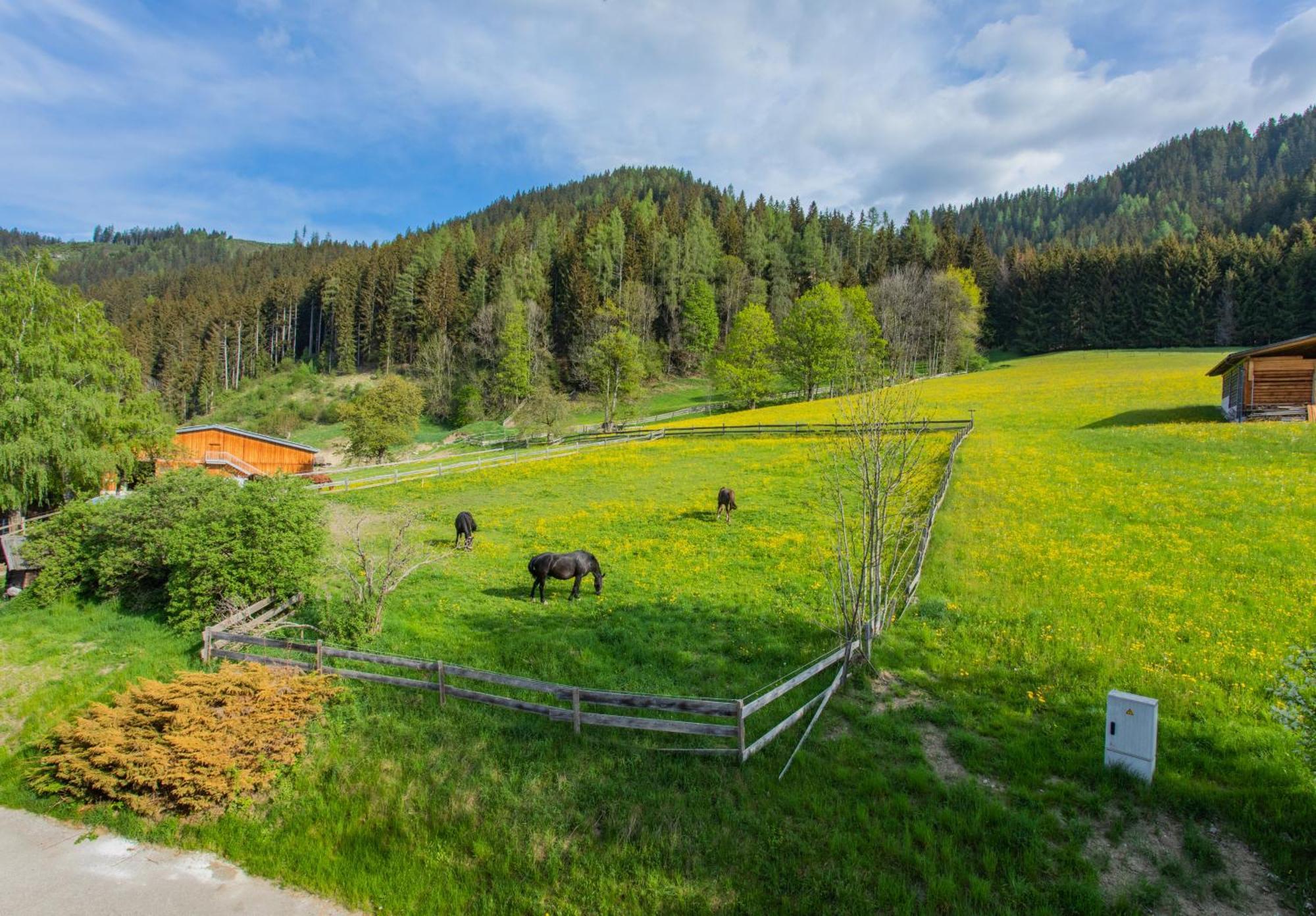 Huberhof 1 By Alpenidyll Apartments Schladming Εξωτερικό φωτογραφία